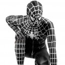 White Stripe Black Lycra Spandex Spiderman Morph Zentai Costume - Spider man 3 Costume
