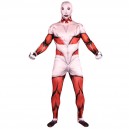 Supply Attack on Titan Cartoon Full Body Halloween Unisex Cosplay Zentai Suit