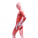 Attack on Titan Red Muscle Full Body Halloween Spandex Holiday Unisex Cosplay Zentai Suit