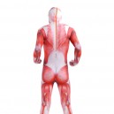 Attack on Titan Red Muscle Full Body Halloween Spandex Holiday Unisex Cosplay Zentai Suit