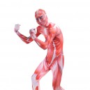 Attack on Titan Red Muscle Full Body Halloween Spandex Holiday Unisex Cosplay Zentai Suit